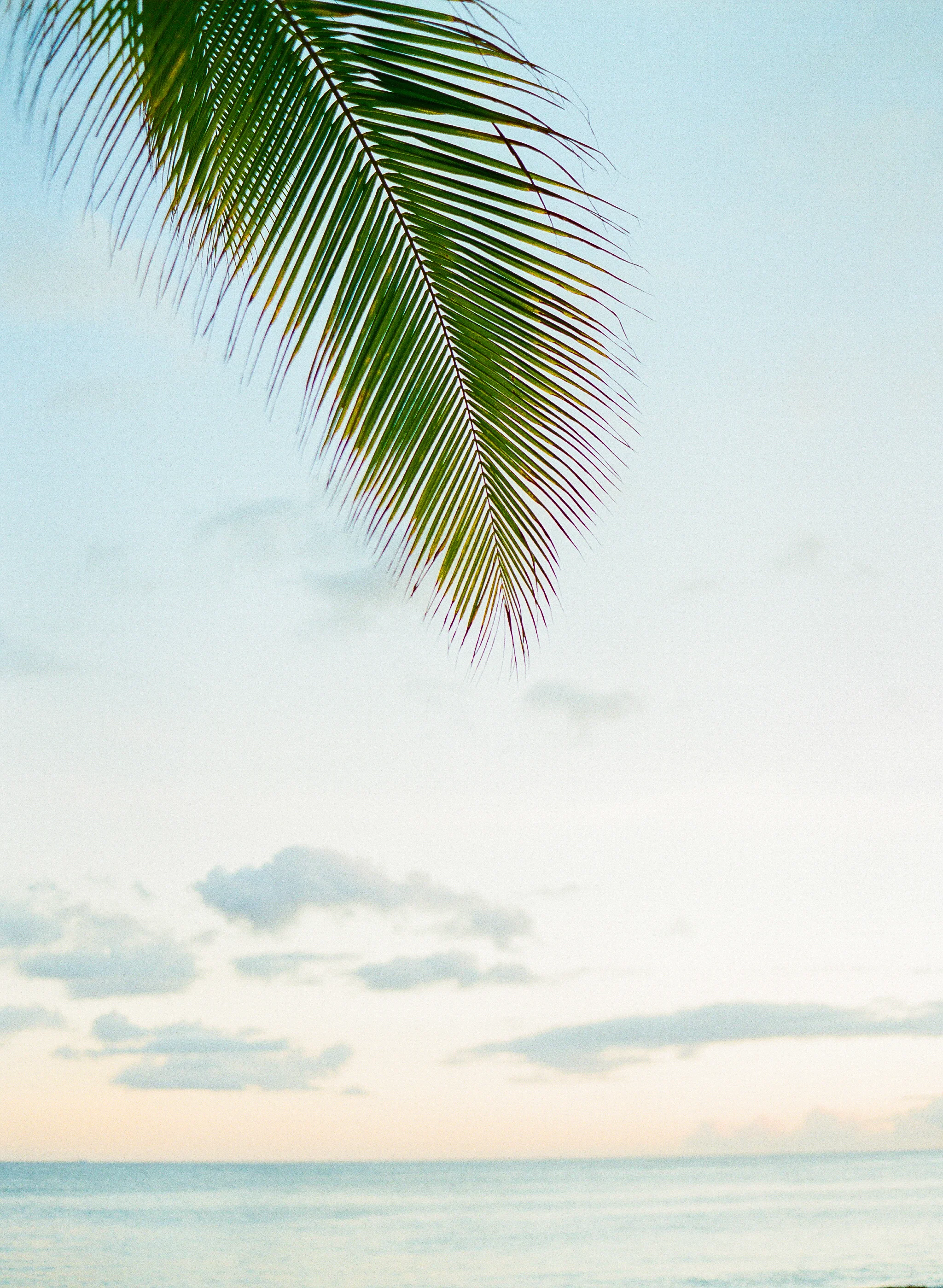 Chase the Sun photo by Ashley Goodwin Photography