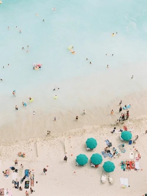Endless Summer photo by Ashley Goodwin