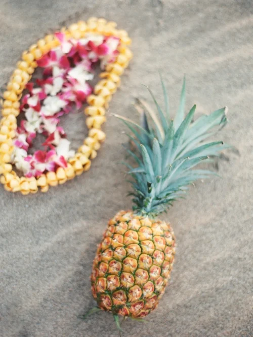 Pineapple of my eye photo by Ashley Goodwin Photography