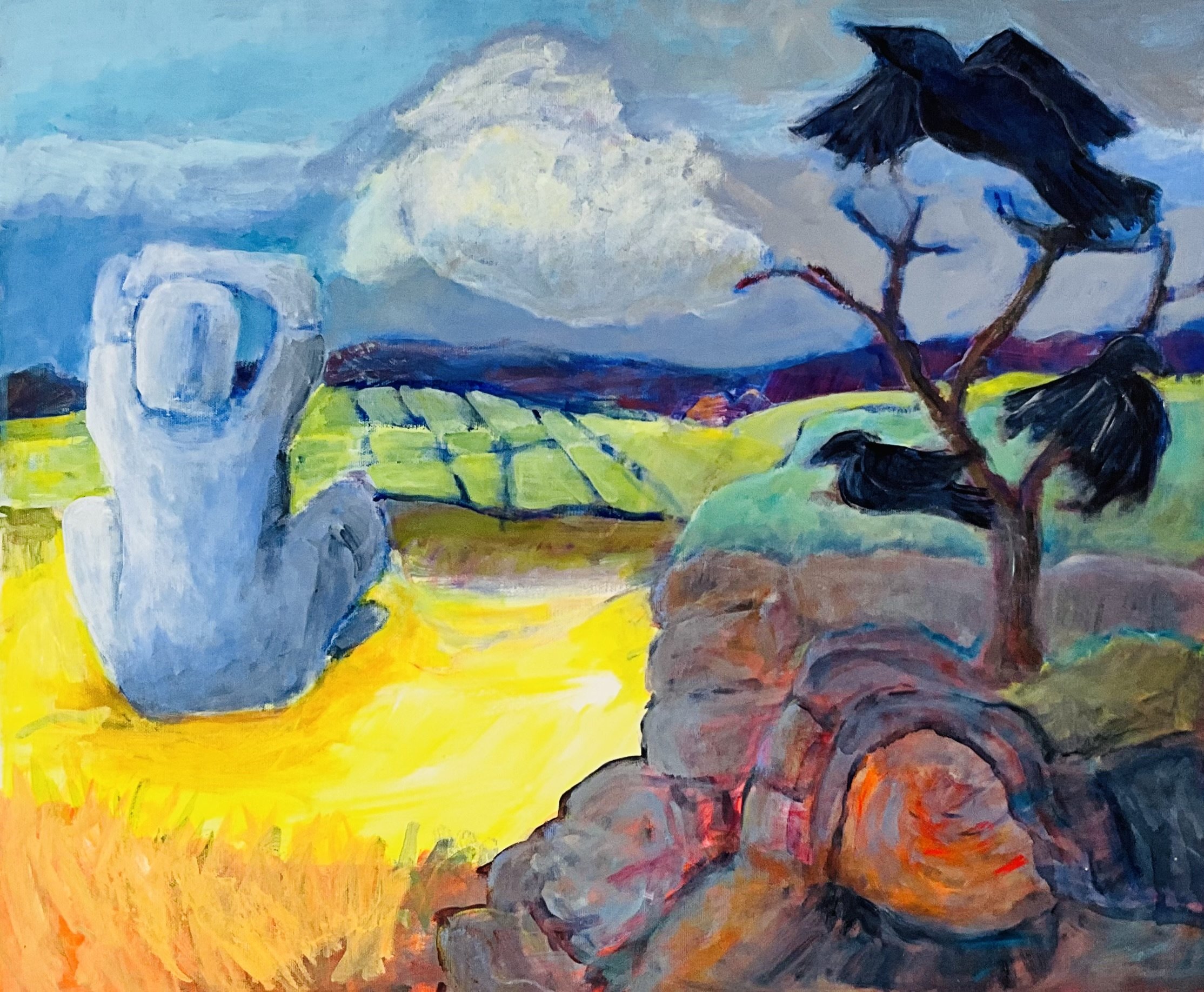20x24