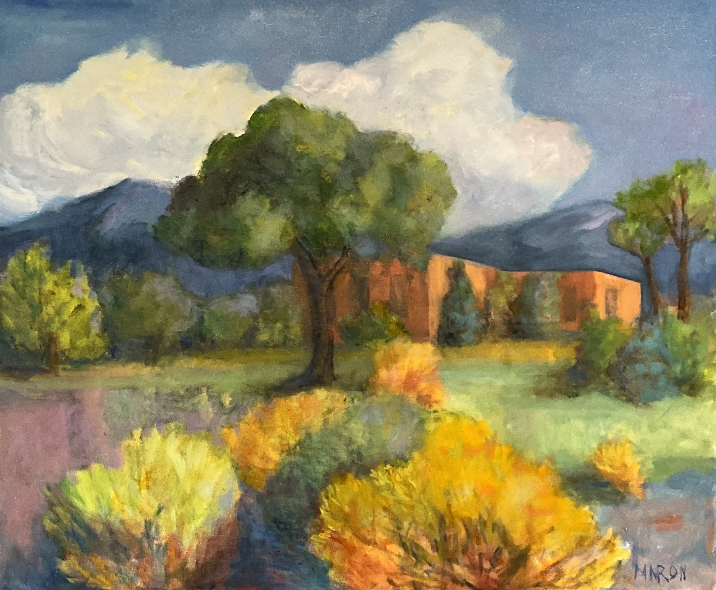 20x24