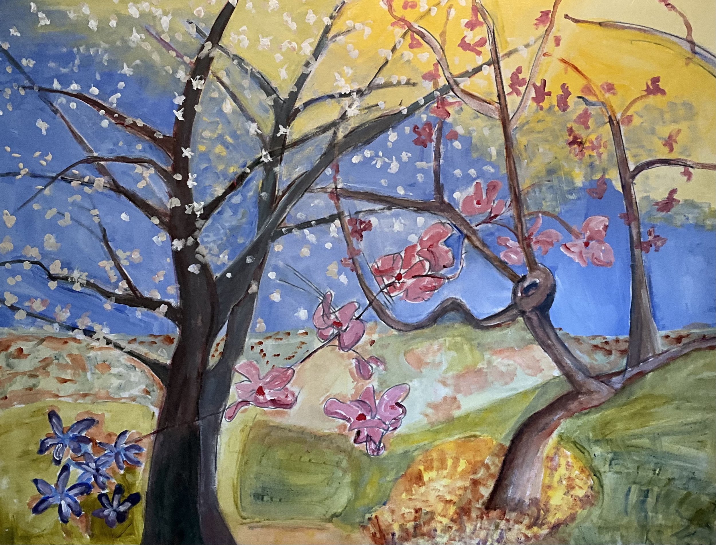 36x48