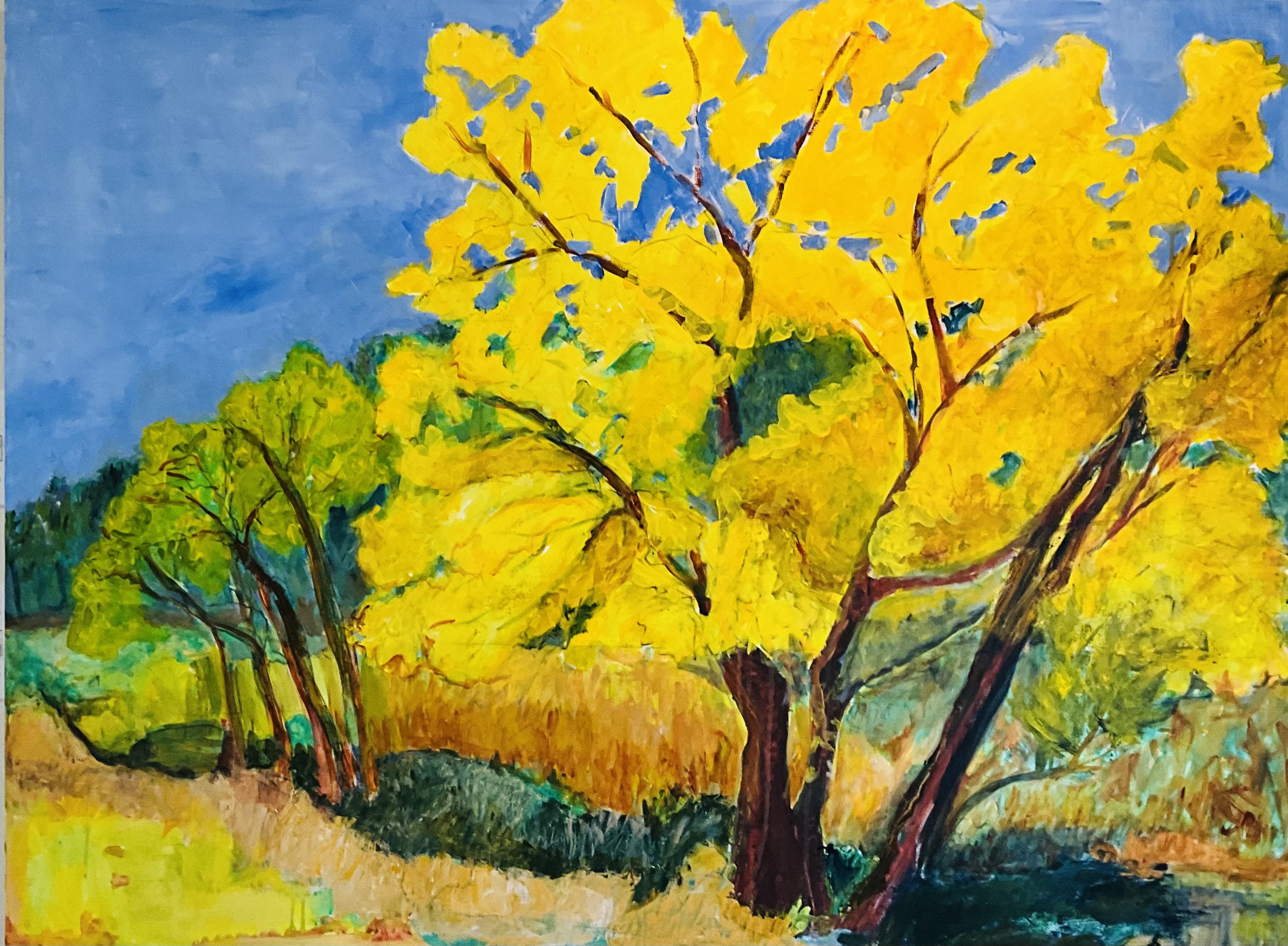 26x48