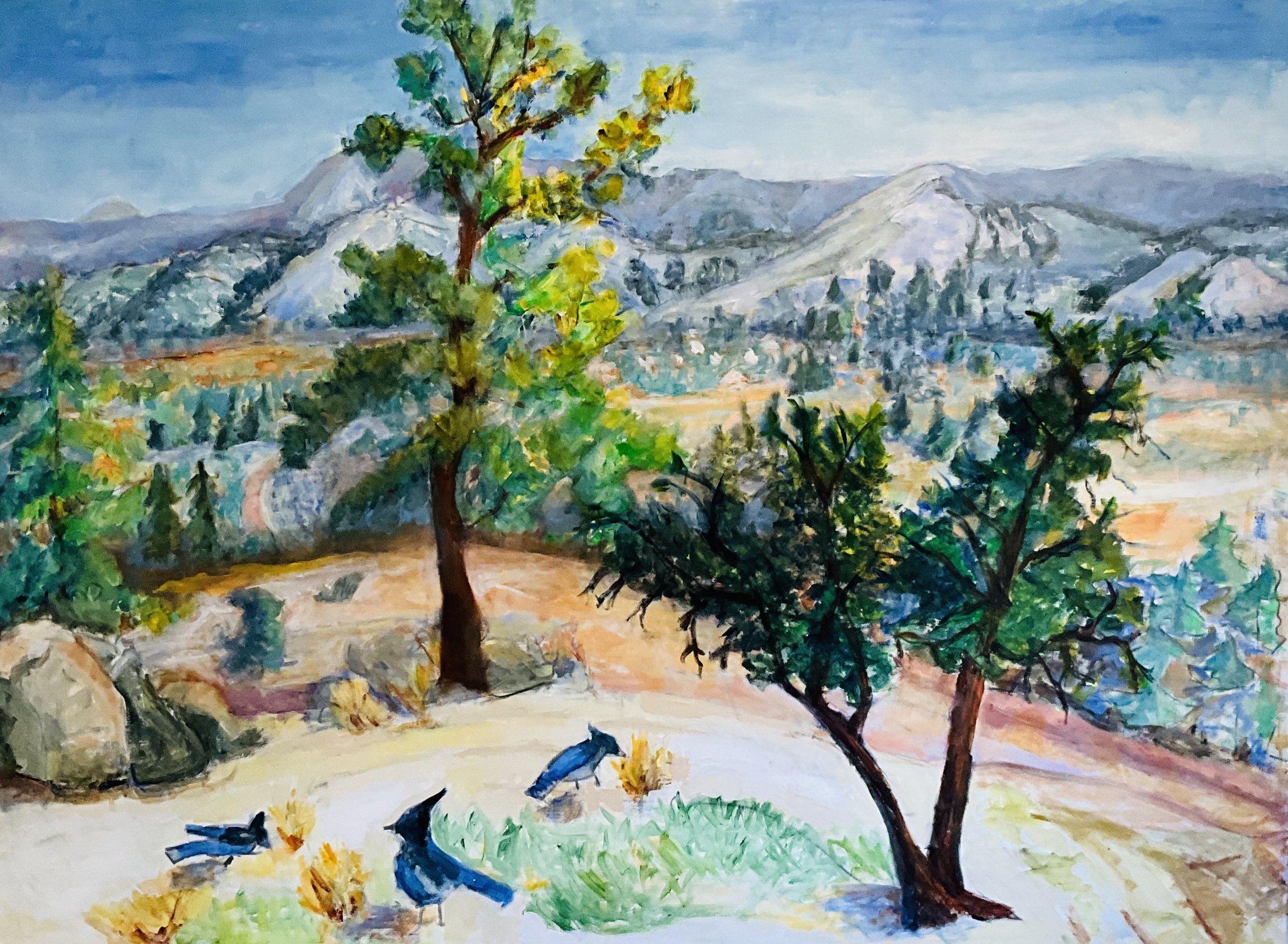 36 x48
