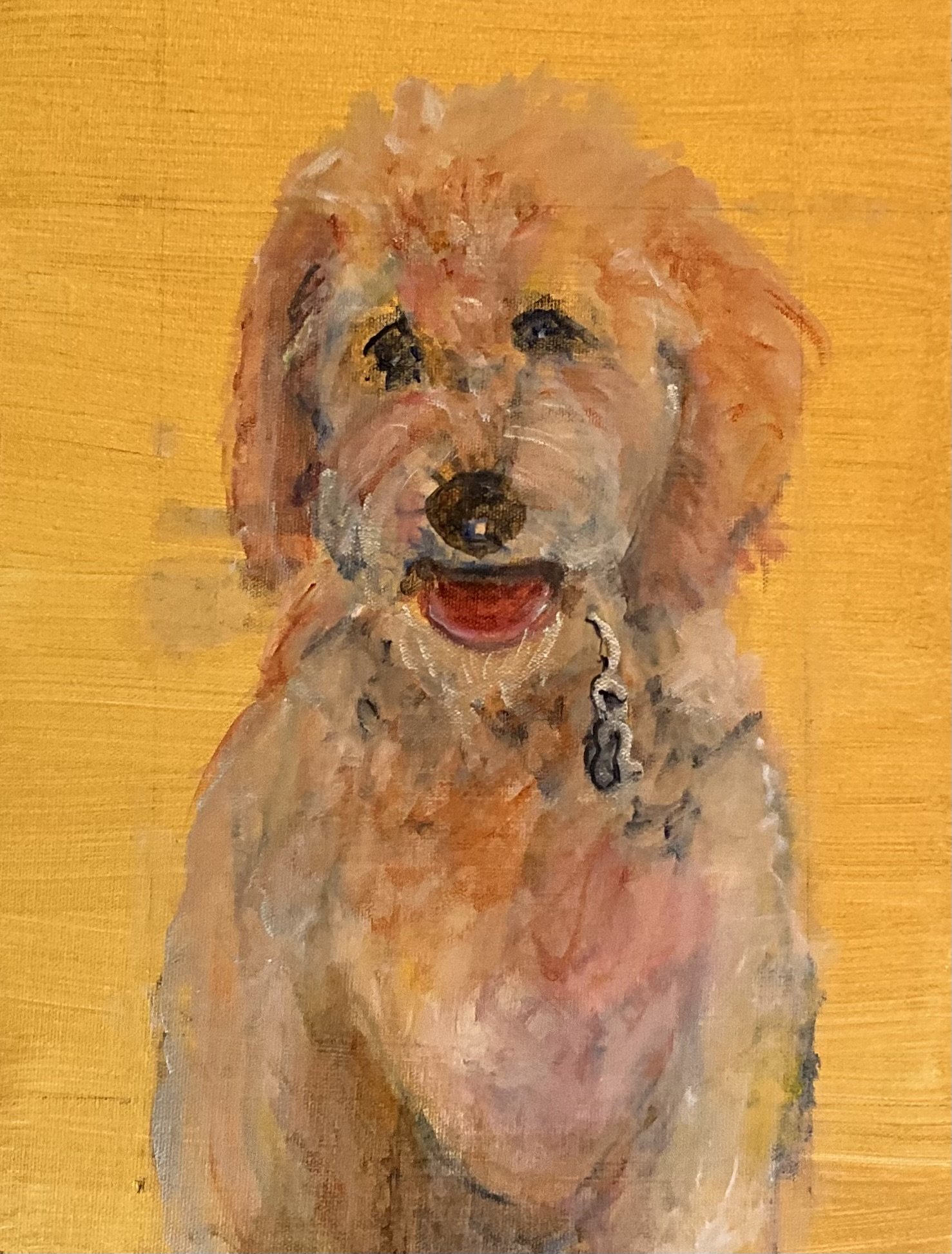 16x20