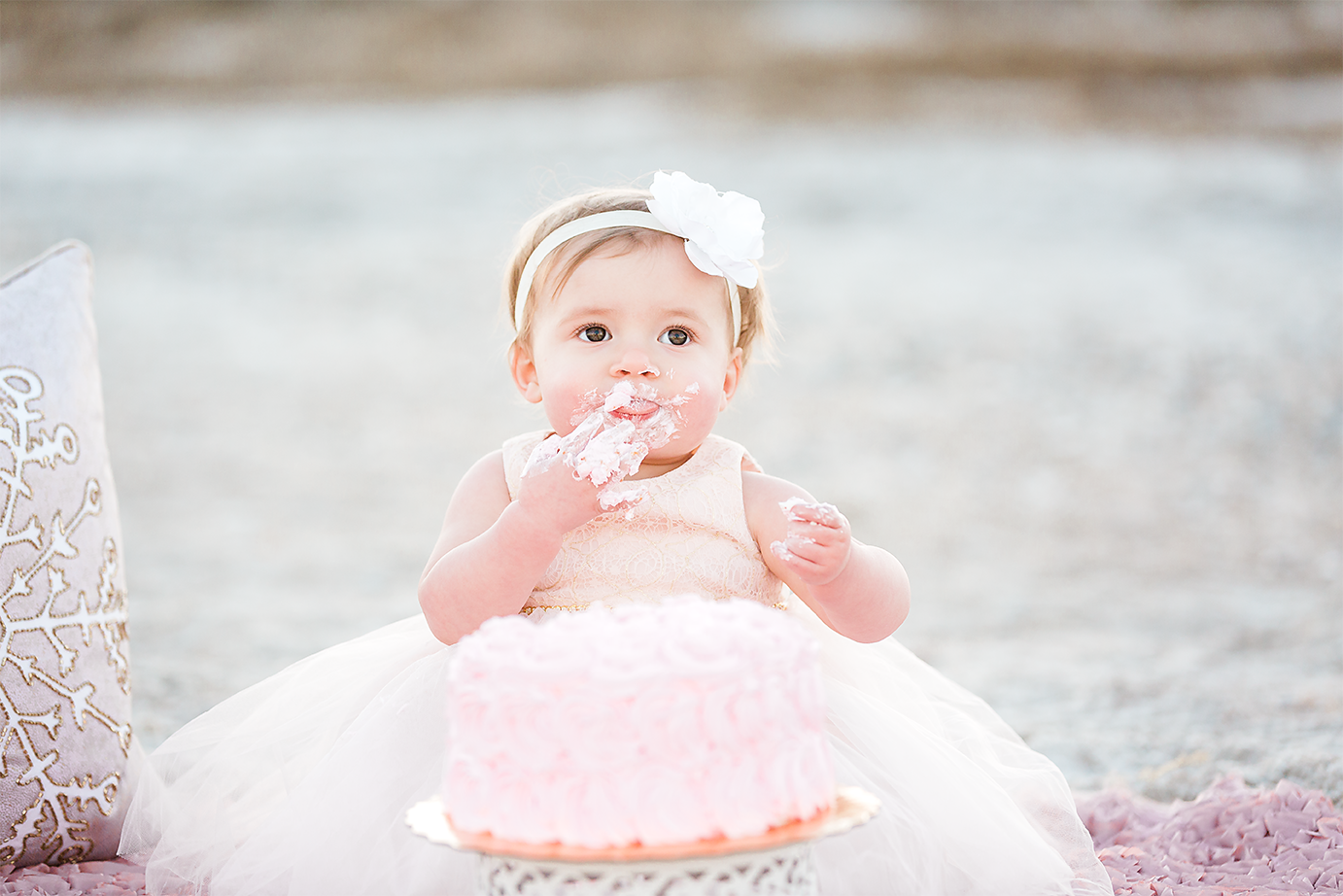 cake smash photos in hanna park, jacksonville fl