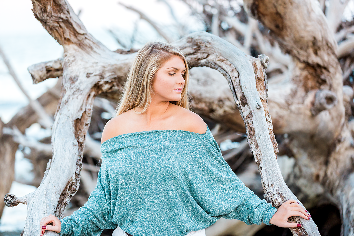 Driftwood beach senior session