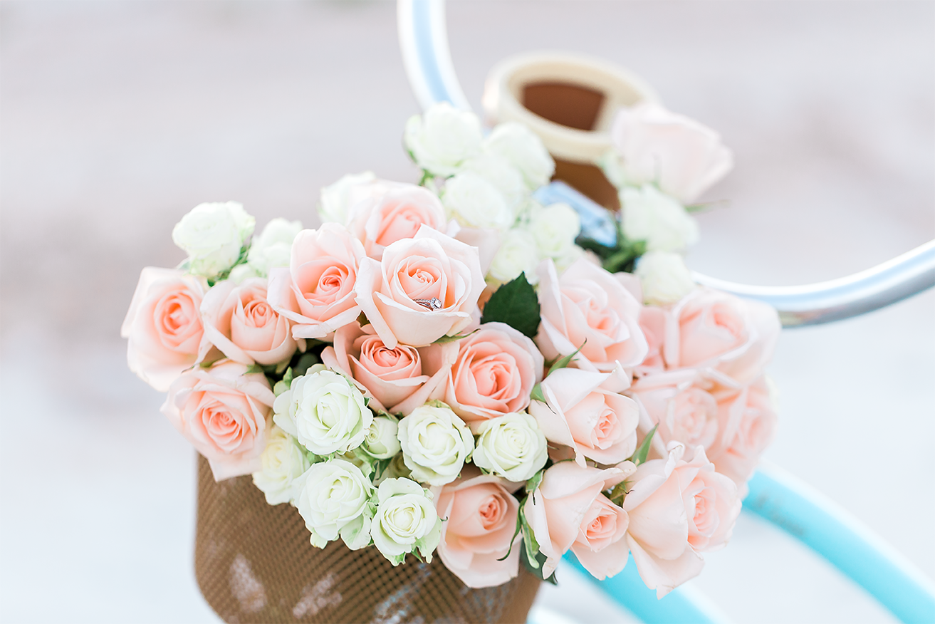 engagement session details - dozens of roses in the bucket in beach bike, engagement ring