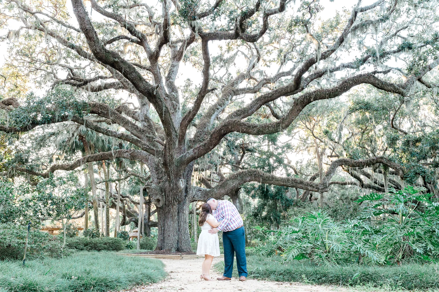 Engagement Session In Washington Oaks Gardens Amera Erik Jacksonville And St Augustine Engagement Wedding Photographer