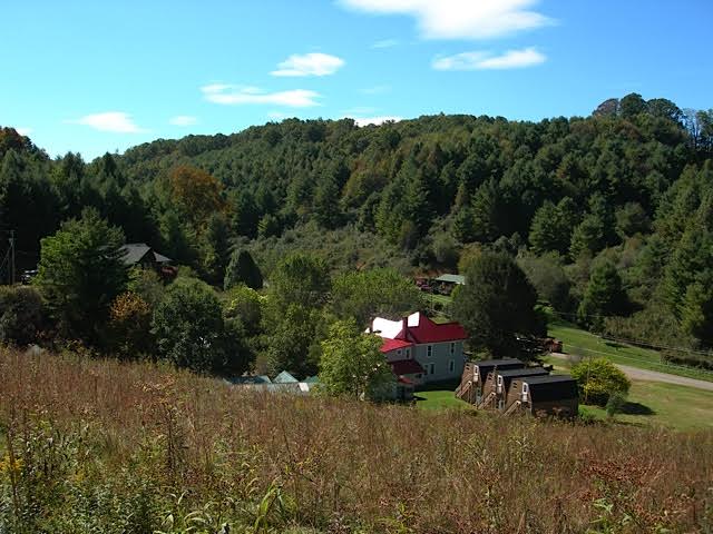 theproperty01.jpg