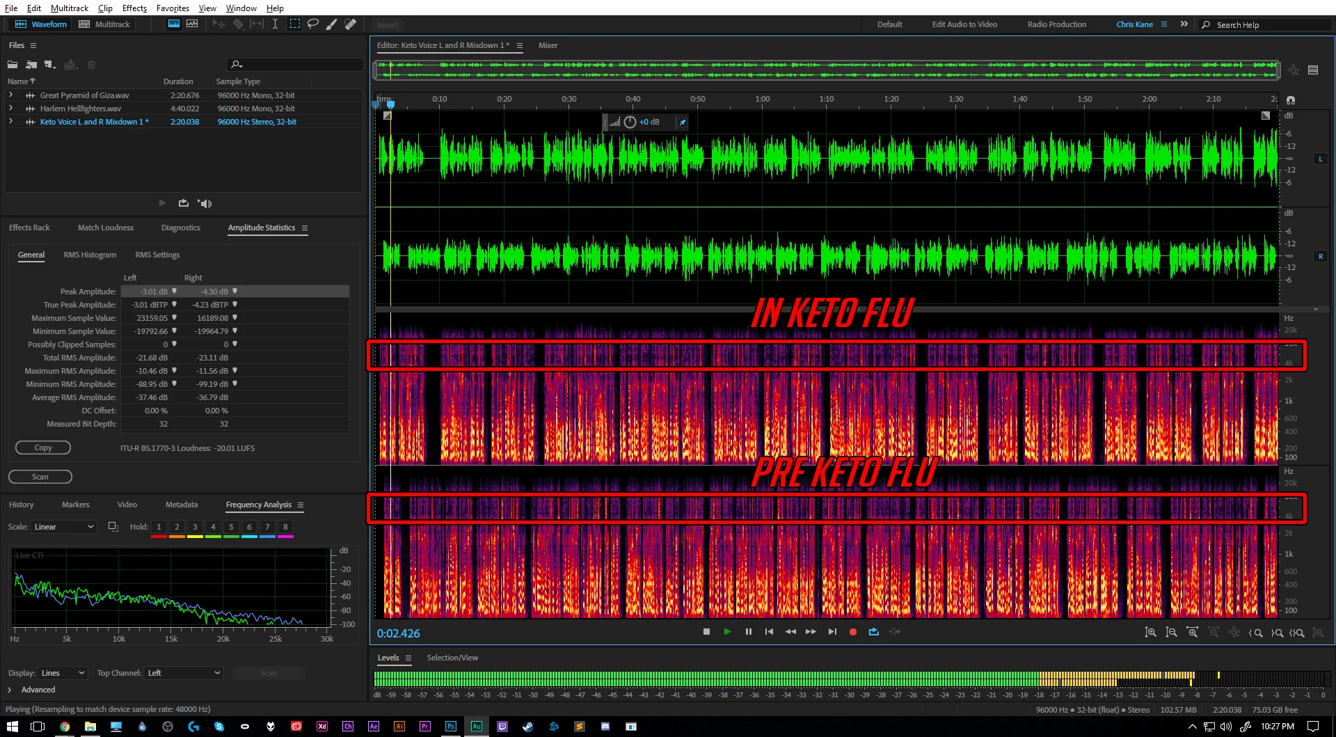 The image represents only clean, unprocessed audio recorded directly to my audio workstation which was Adobe Audition CC 2017 . The green "waveform" is a simple amplitude measurement of the sounds I made during recording. The red, yellow and purple display on the bottom of the editor show both amplitude and frequency. The vertical axis show's a frequency range of 20hz to just over 20khz. (Think of it this way; the "brighter" the "color" (like yellow) the louder the sound. 