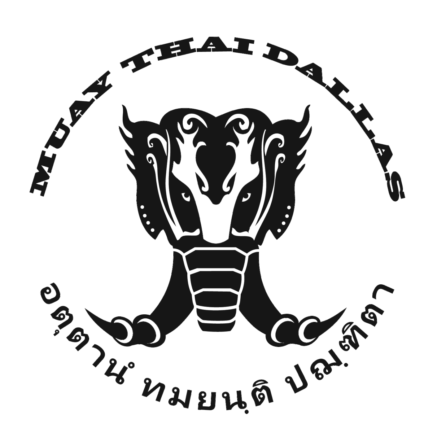 Muay Thai Dallas