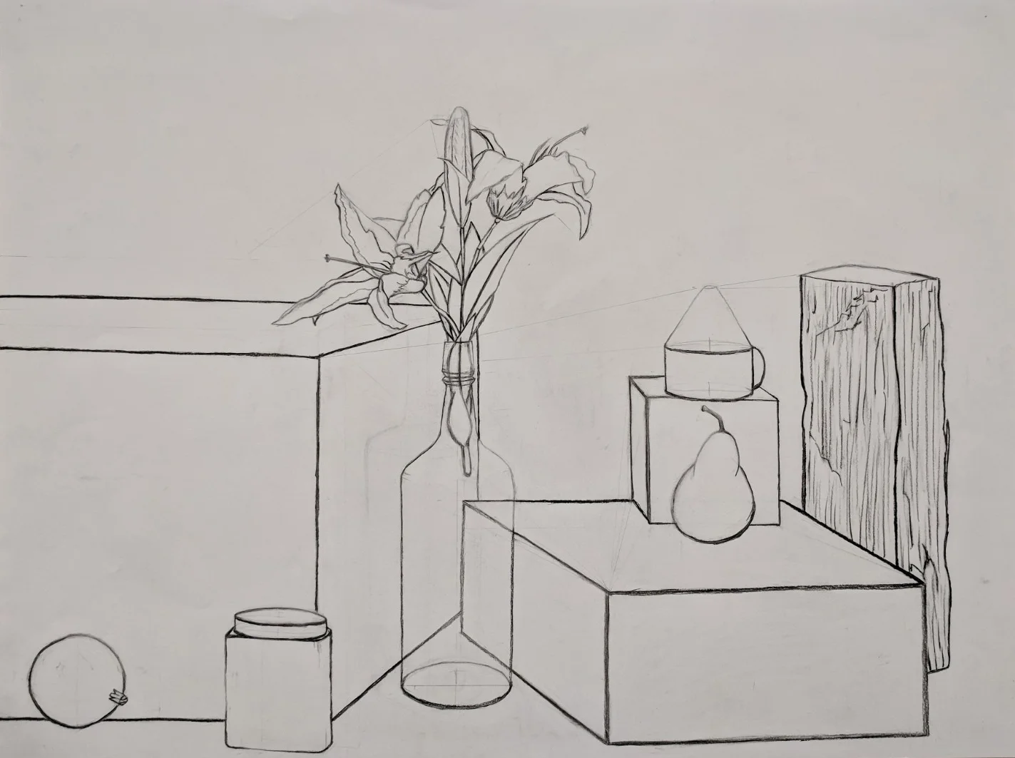 Complex Still Life Line