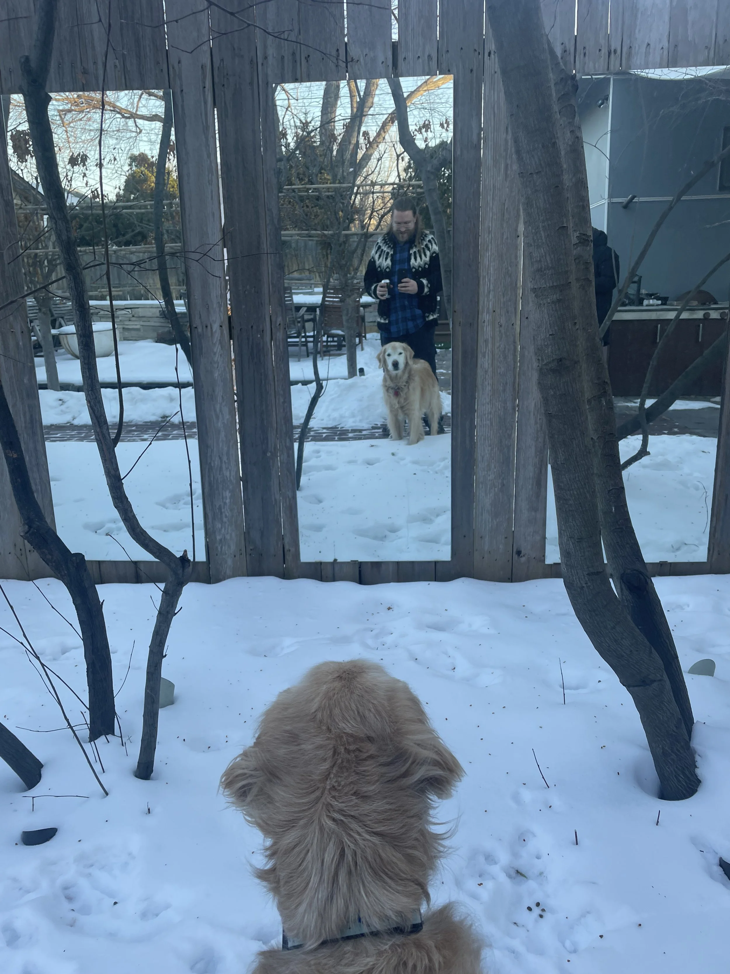 2025-02-20 17.56.40.jpg