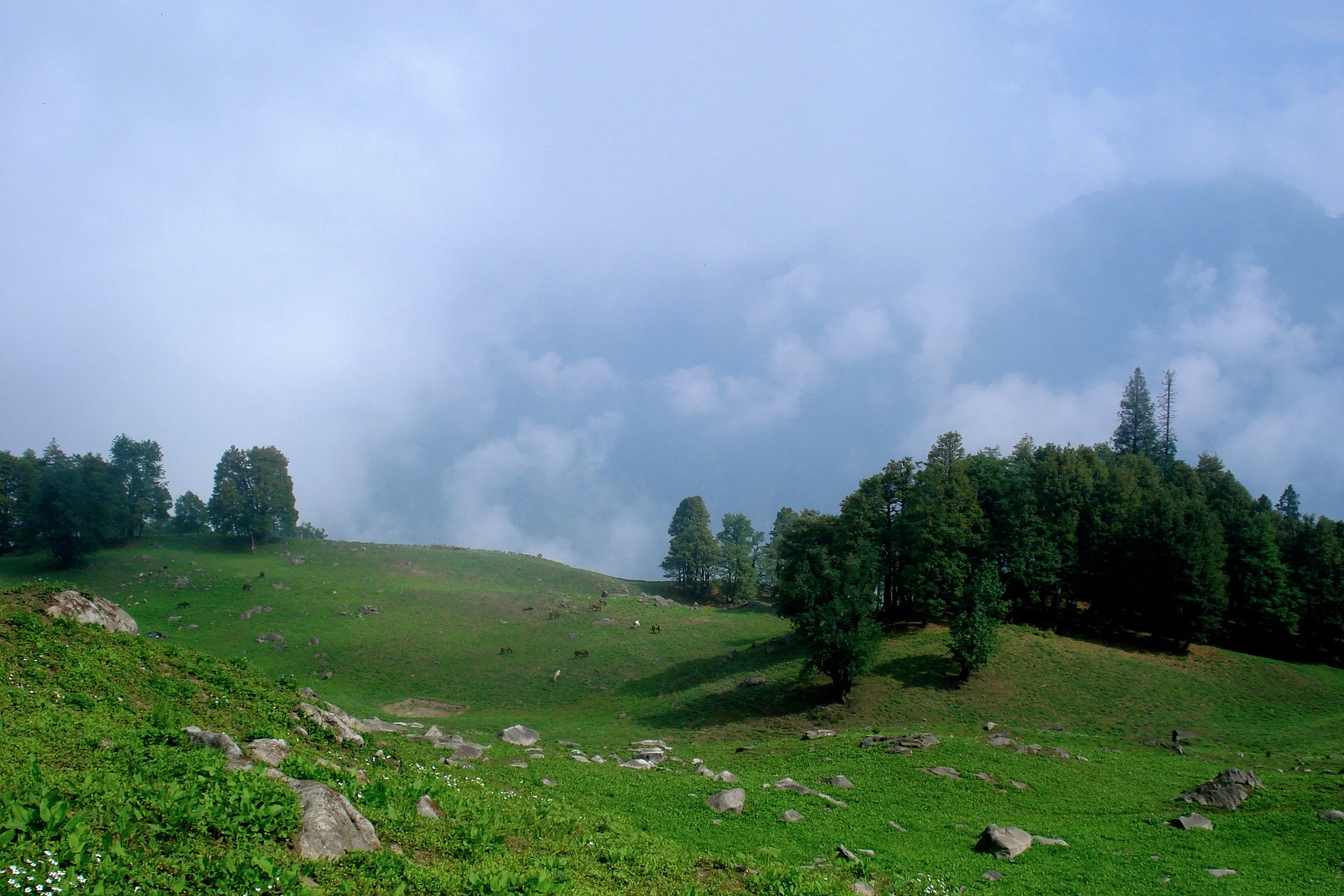 DSC08569.jpg