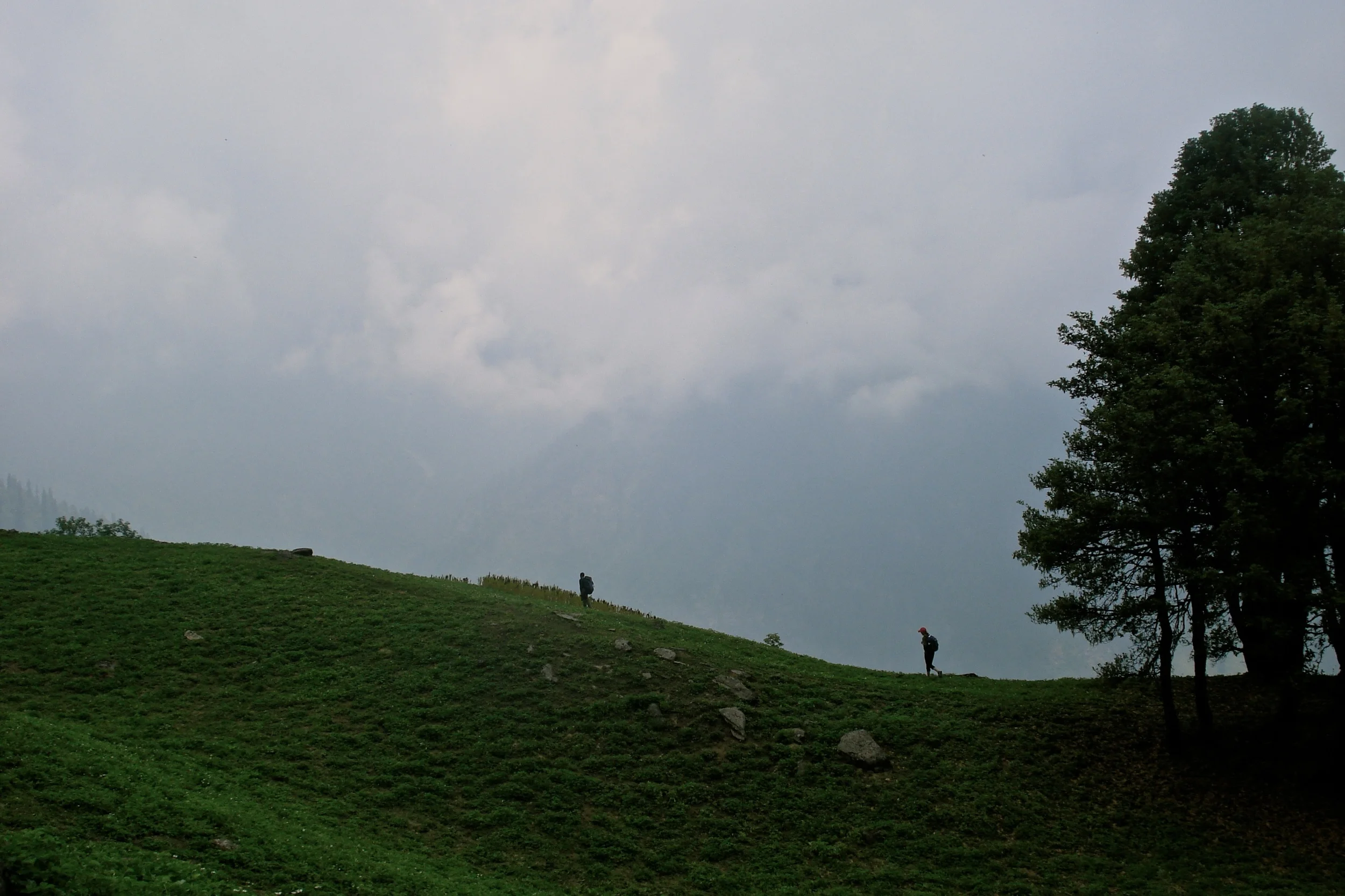 DSC08645.jpg