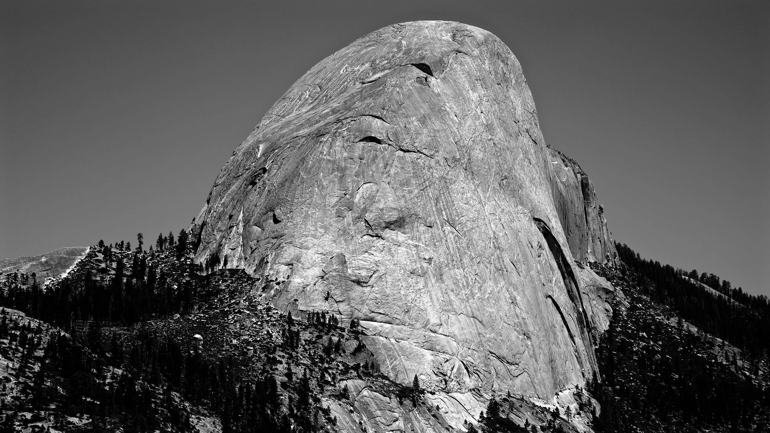 DSCF4612.jpg