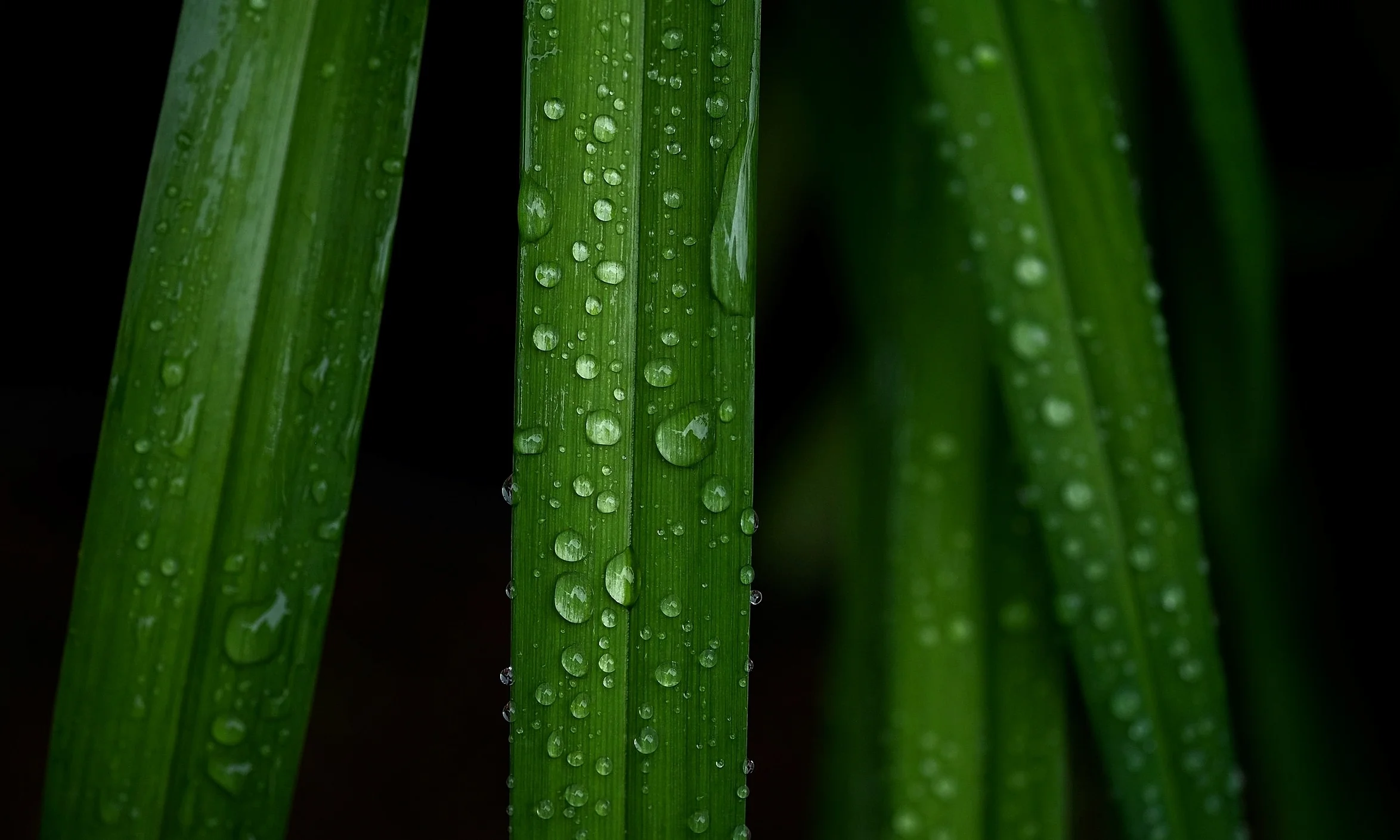 DSCF5872.jpg