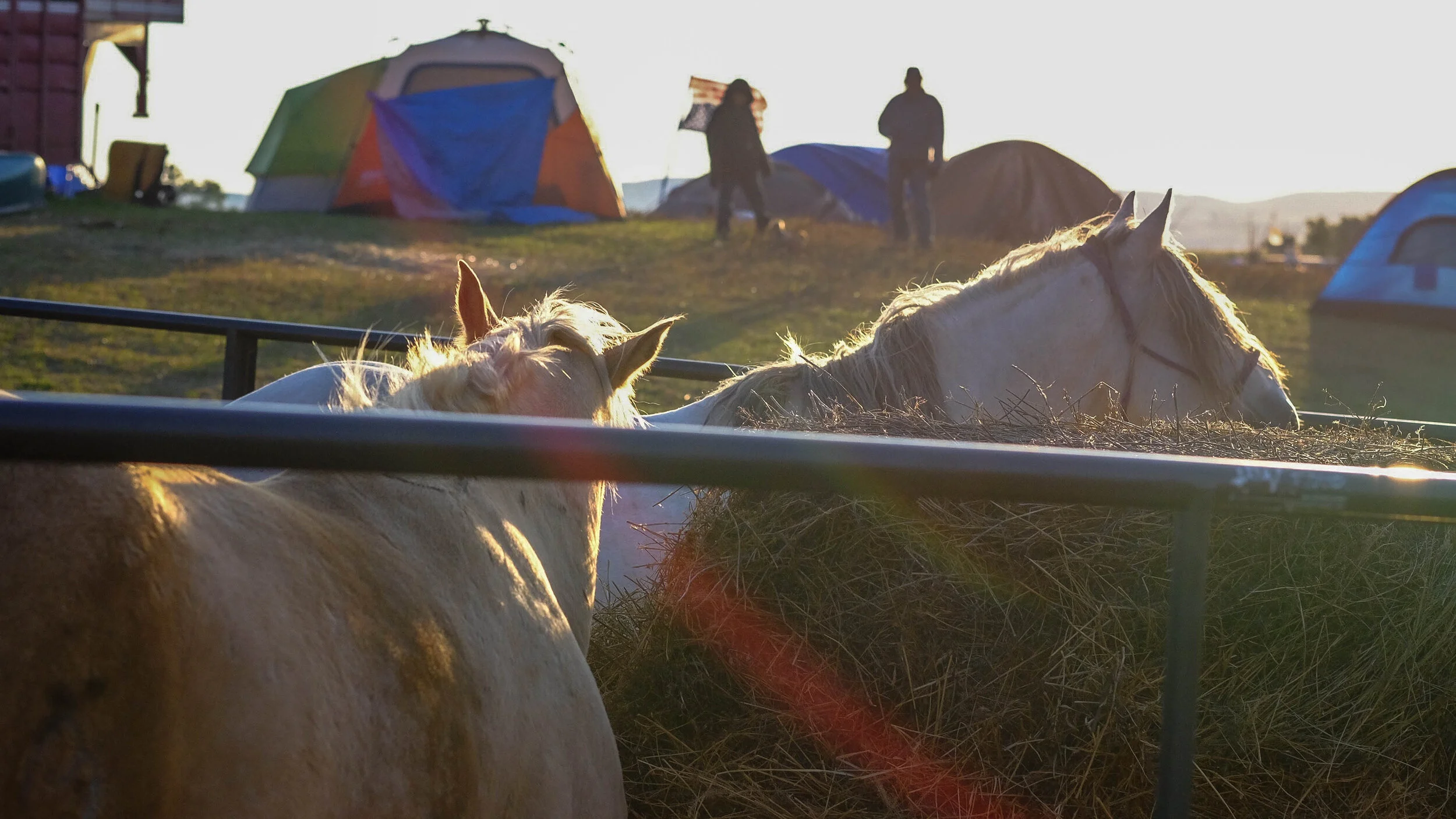 DSCF9750.jpg