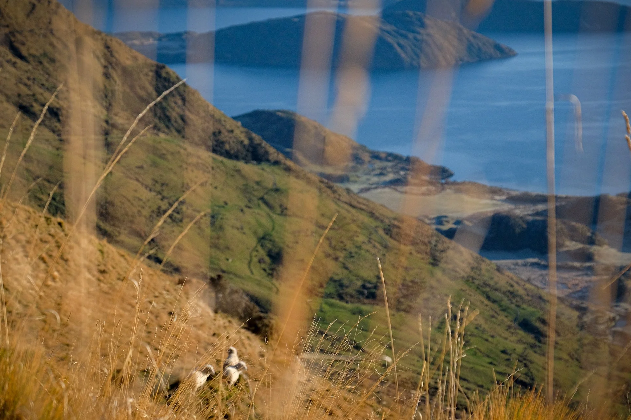 DSCF4378.jpg
