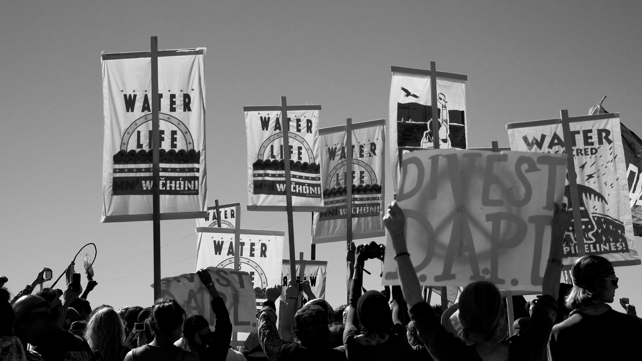 DSCF0397.jpg