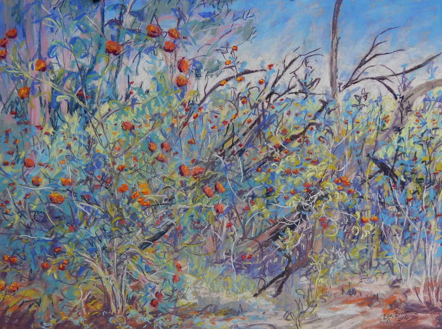 Lantana