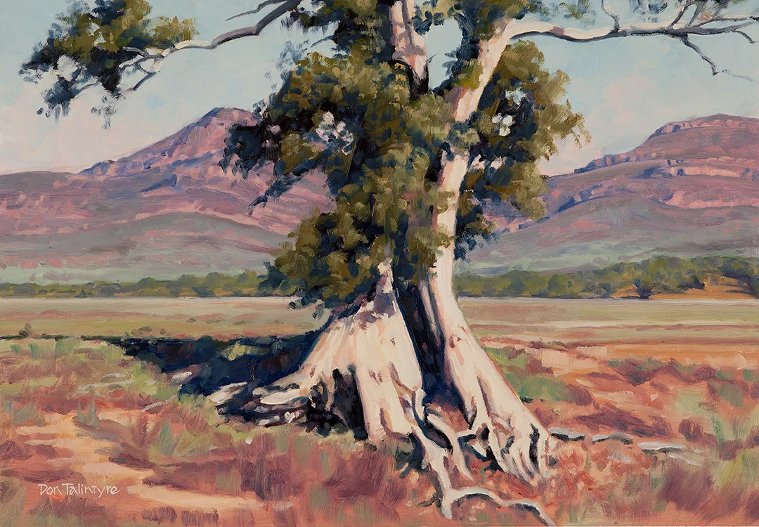 Wilpena Bluffs II, Flinder's