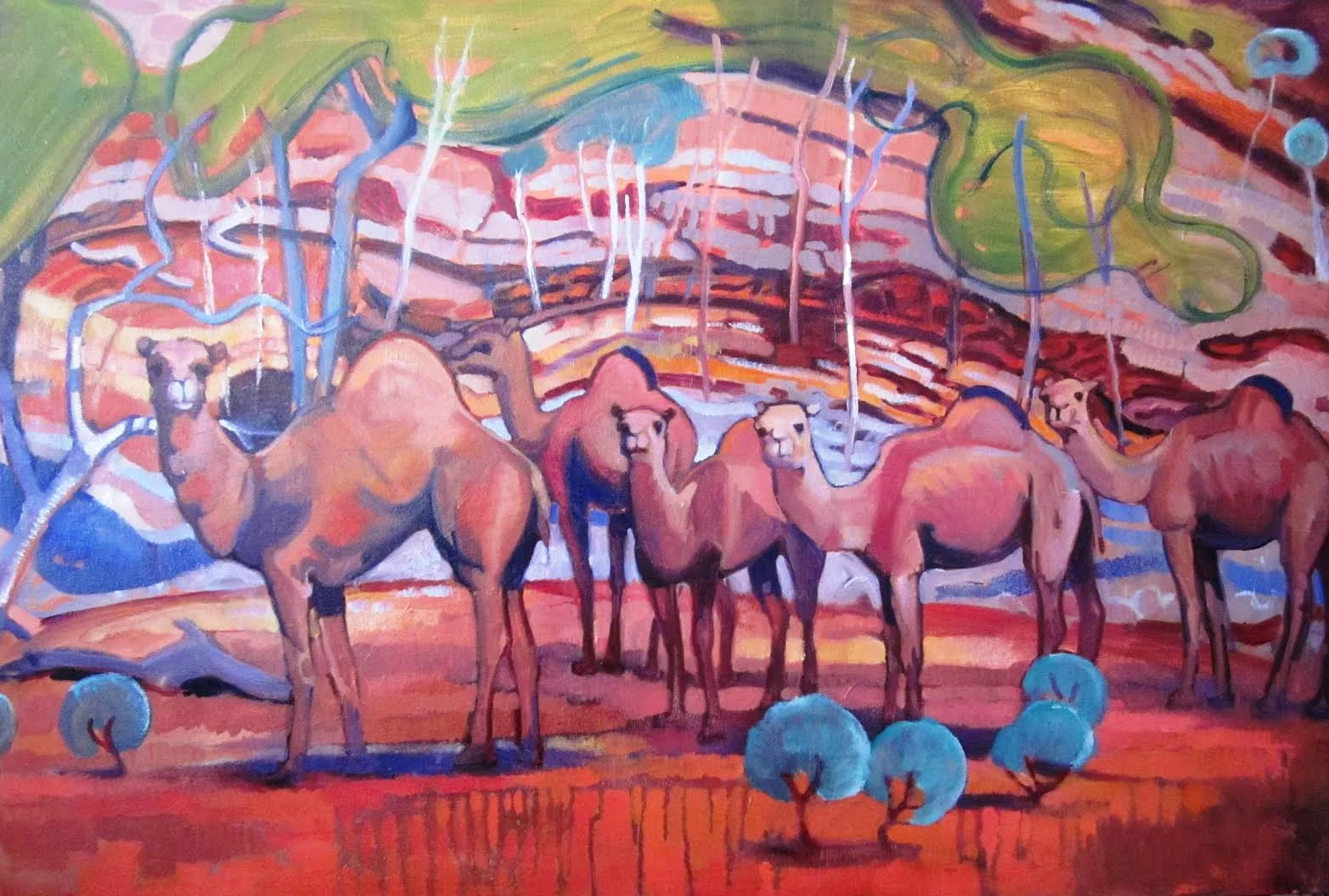 Camels, Outback
