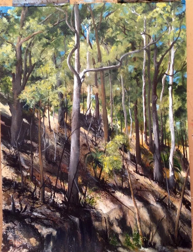 Embankment Shadows, Riversdale