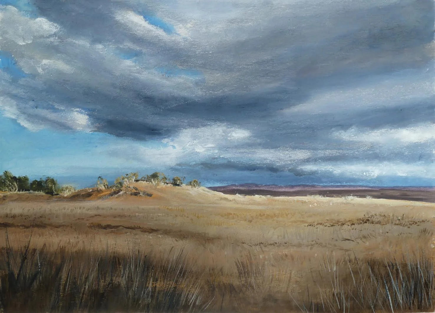 Storm Approaching (Monaro Series)