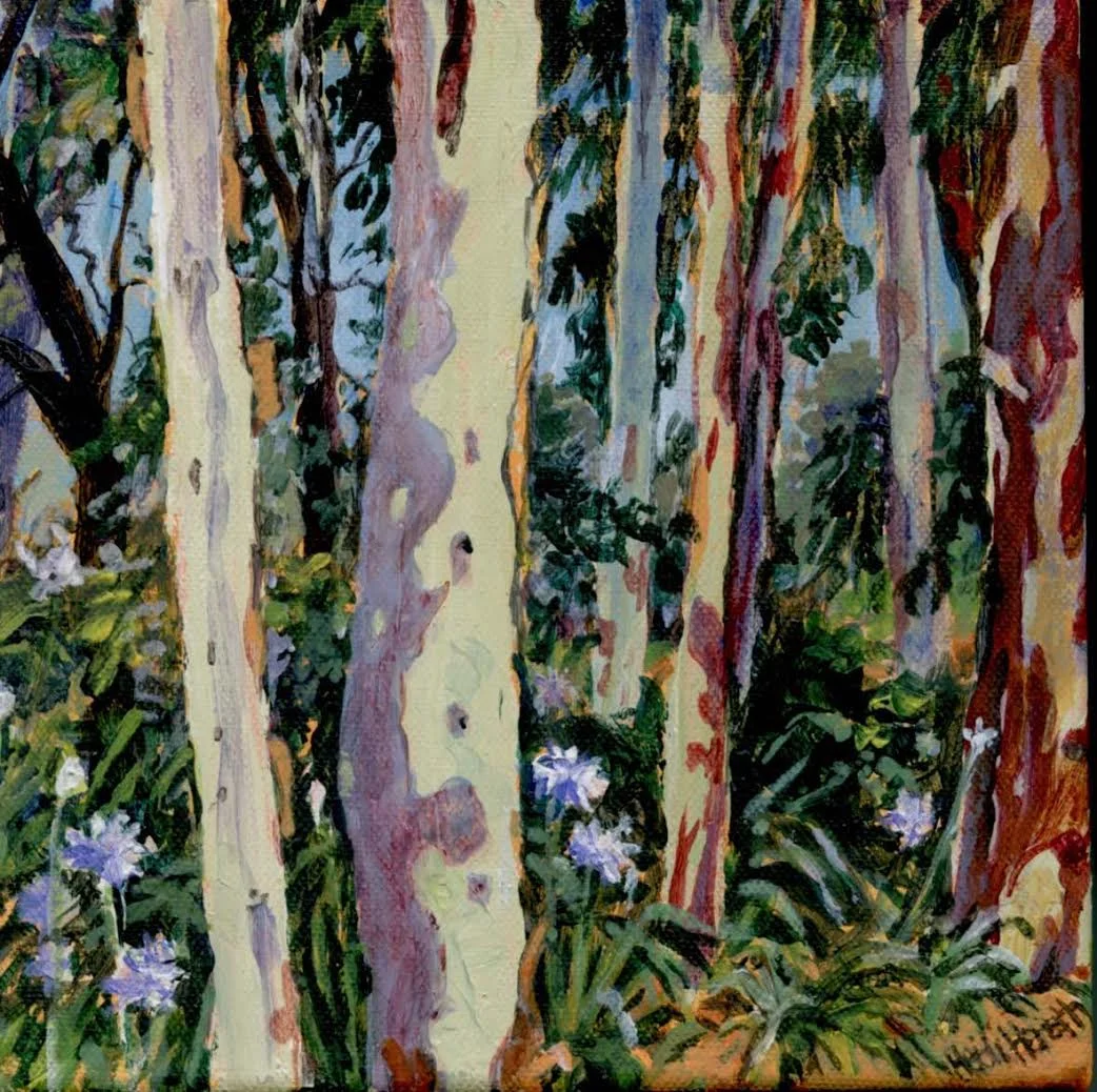 Gums at Cypress Lake