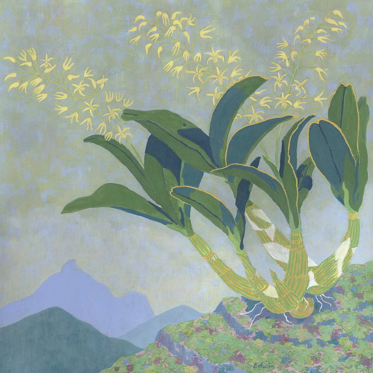 Rock Lily