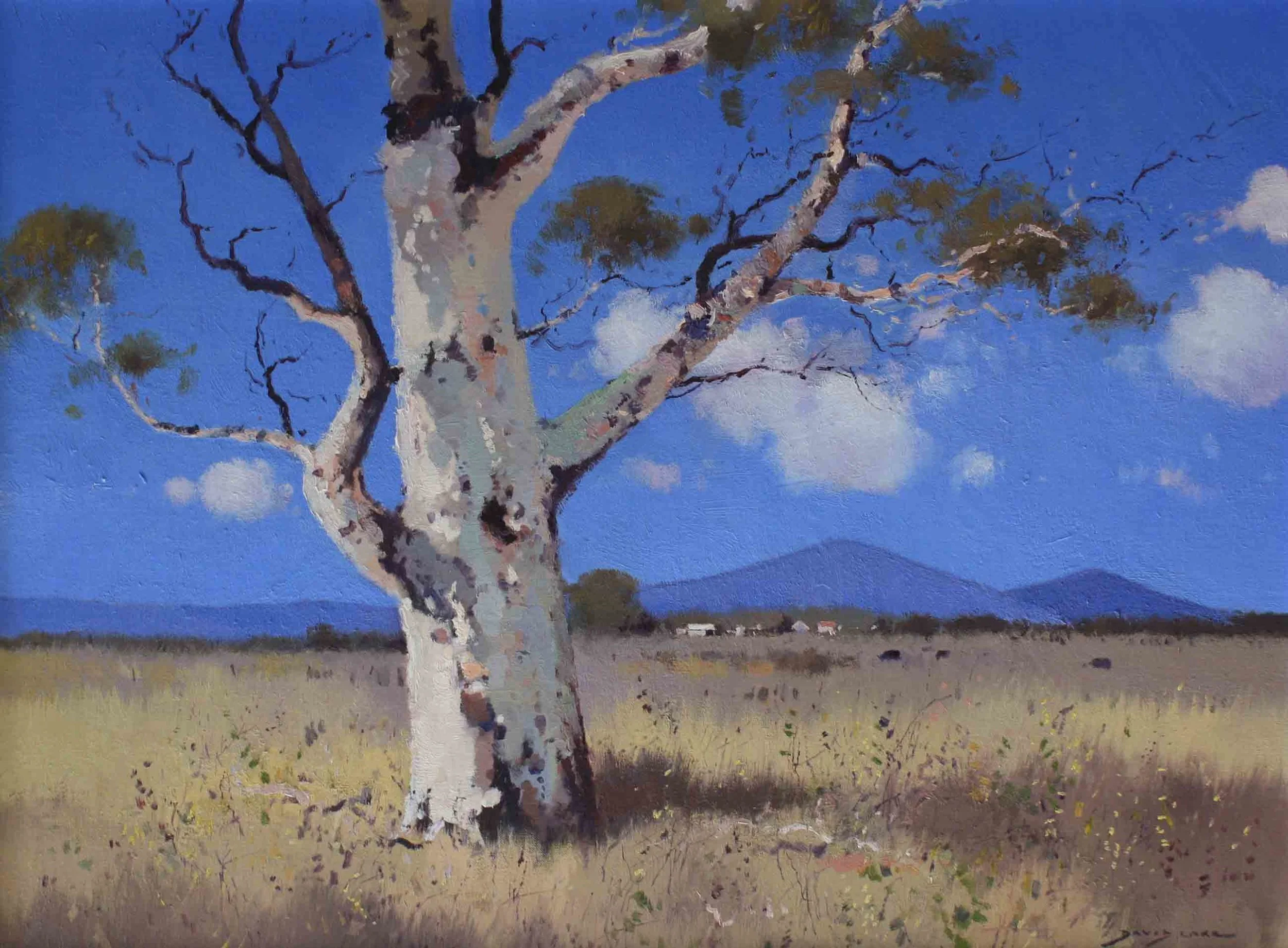 Dry Summer - Mullaley