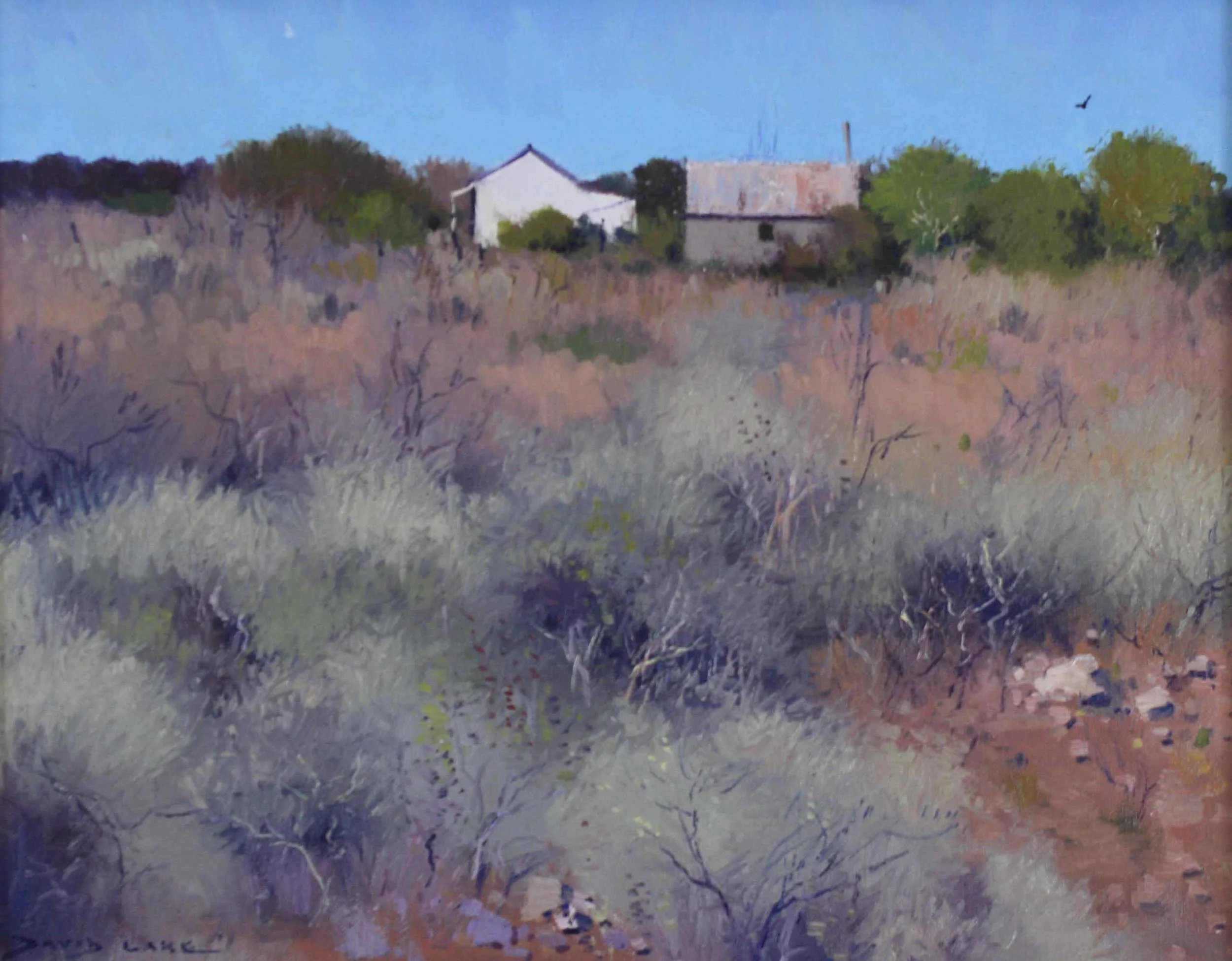 Land of the Saltbush - Cobar