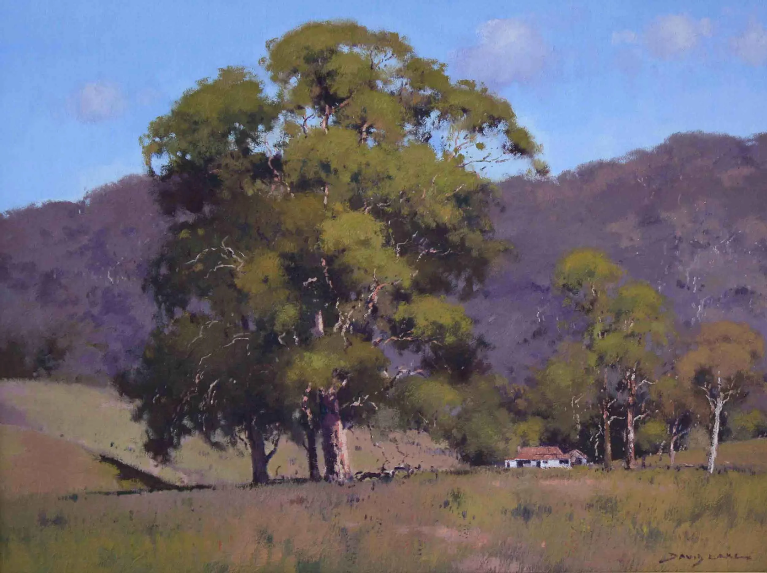 Growee - Bylong Valley