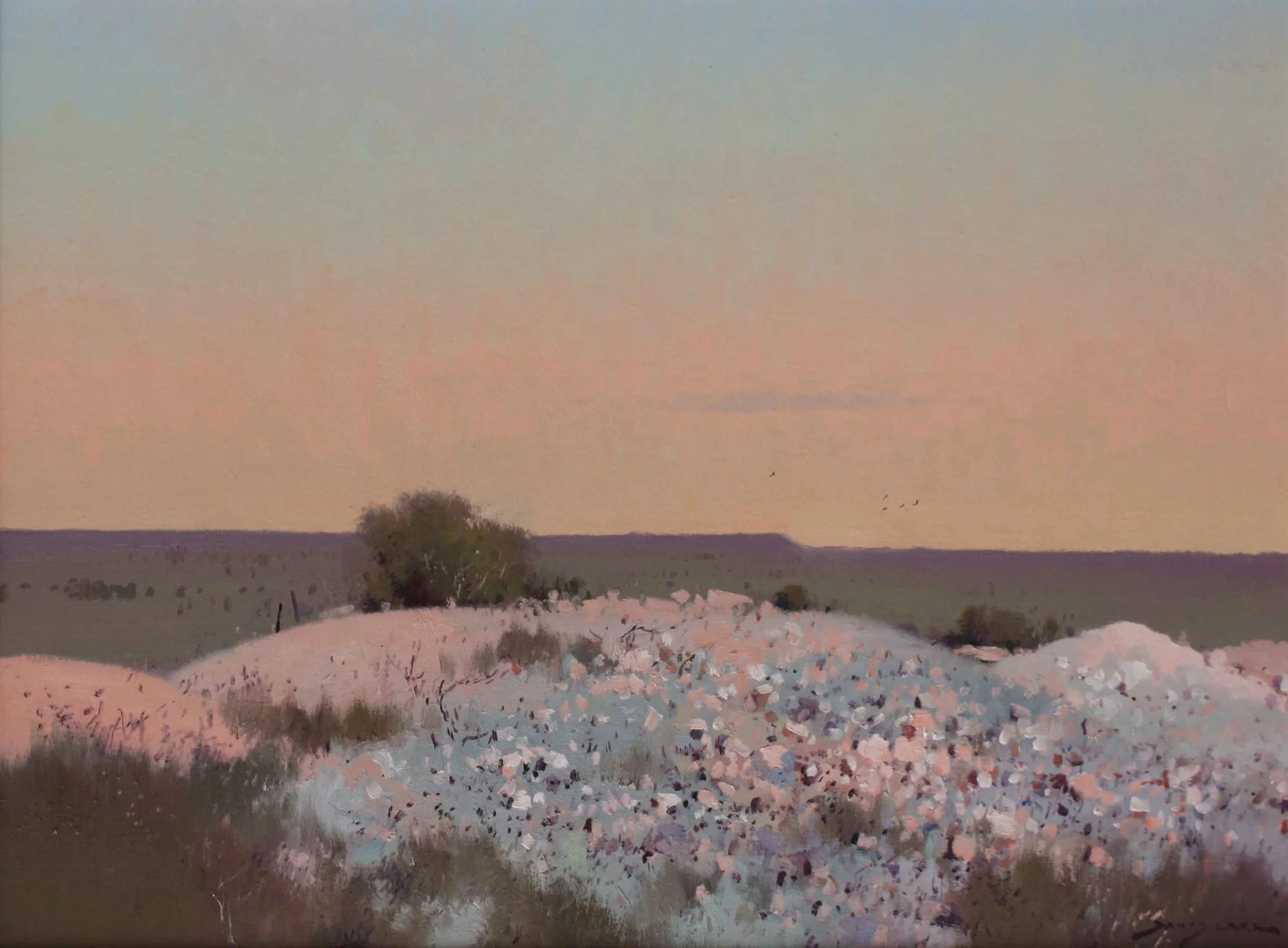 First Sun - White Cliffs