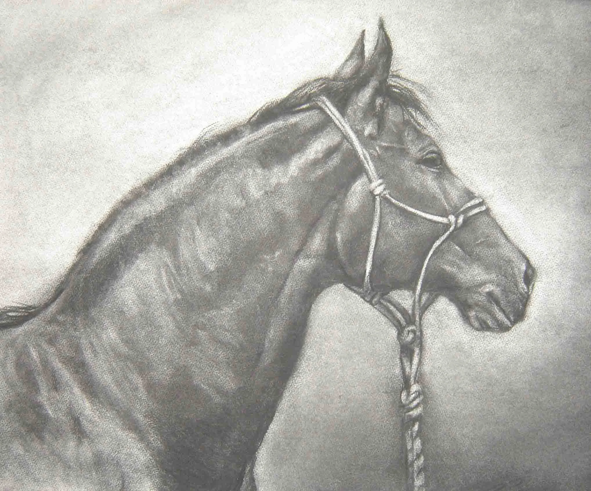 Horses