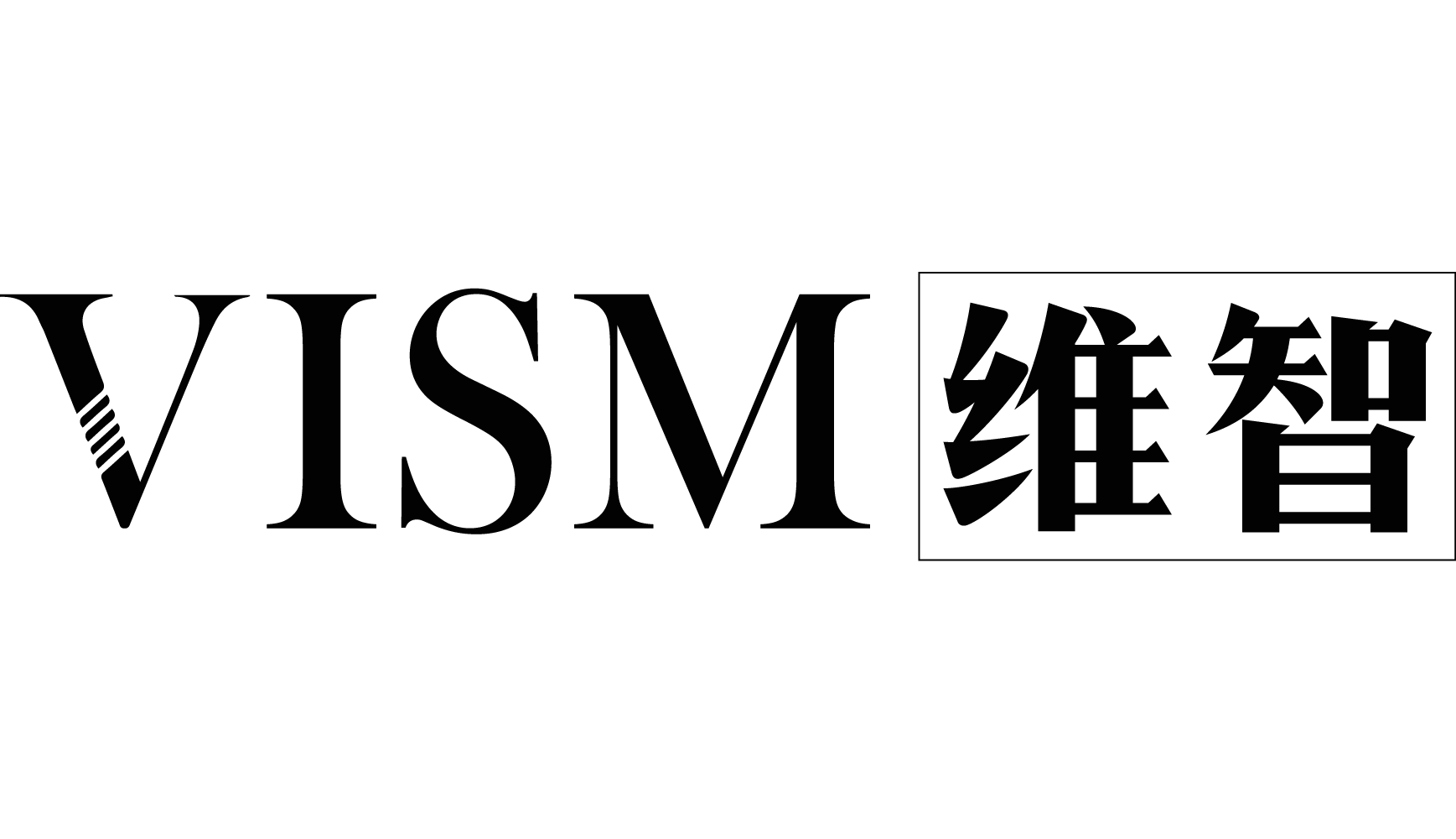 VISM Logo1.png