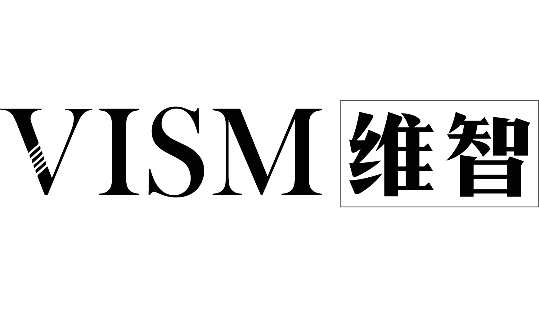 VISM Logo1.png