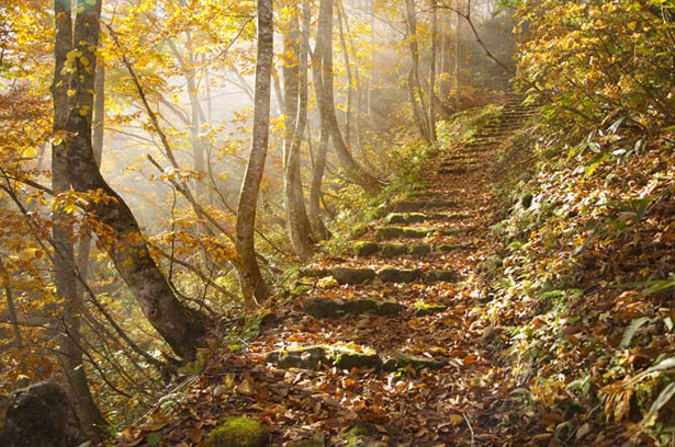 Basho’s narrow road to the deep north…? Photo by National Geographic