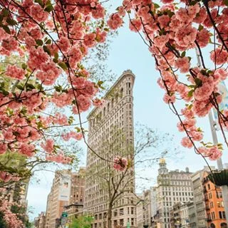 Petite Studio (@petitestudionyc) • Instagram photos and videos (7).jpeg