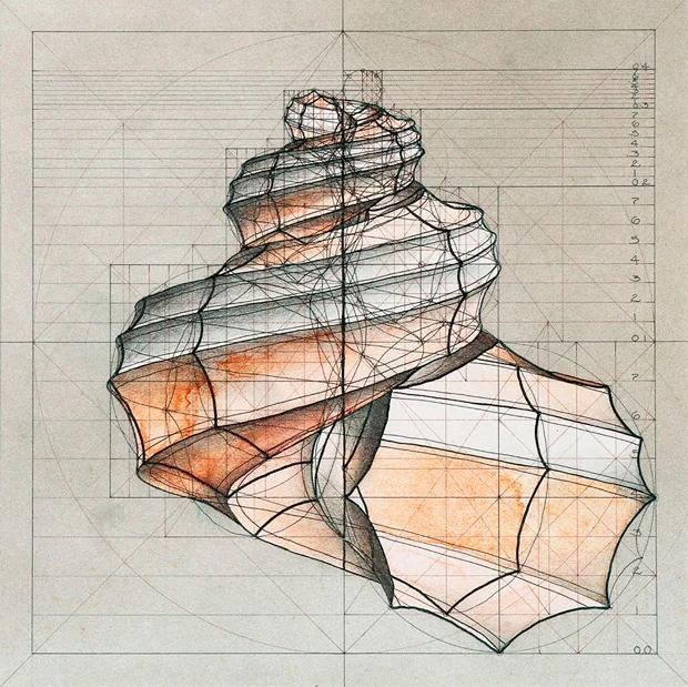 calculo-arte-arquitectonico-rafael-araujo-3.jpg