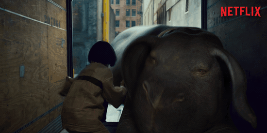 giphy (1).gif