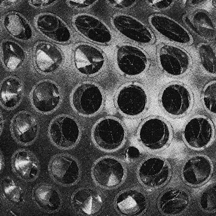 a3716364361_16.jpg