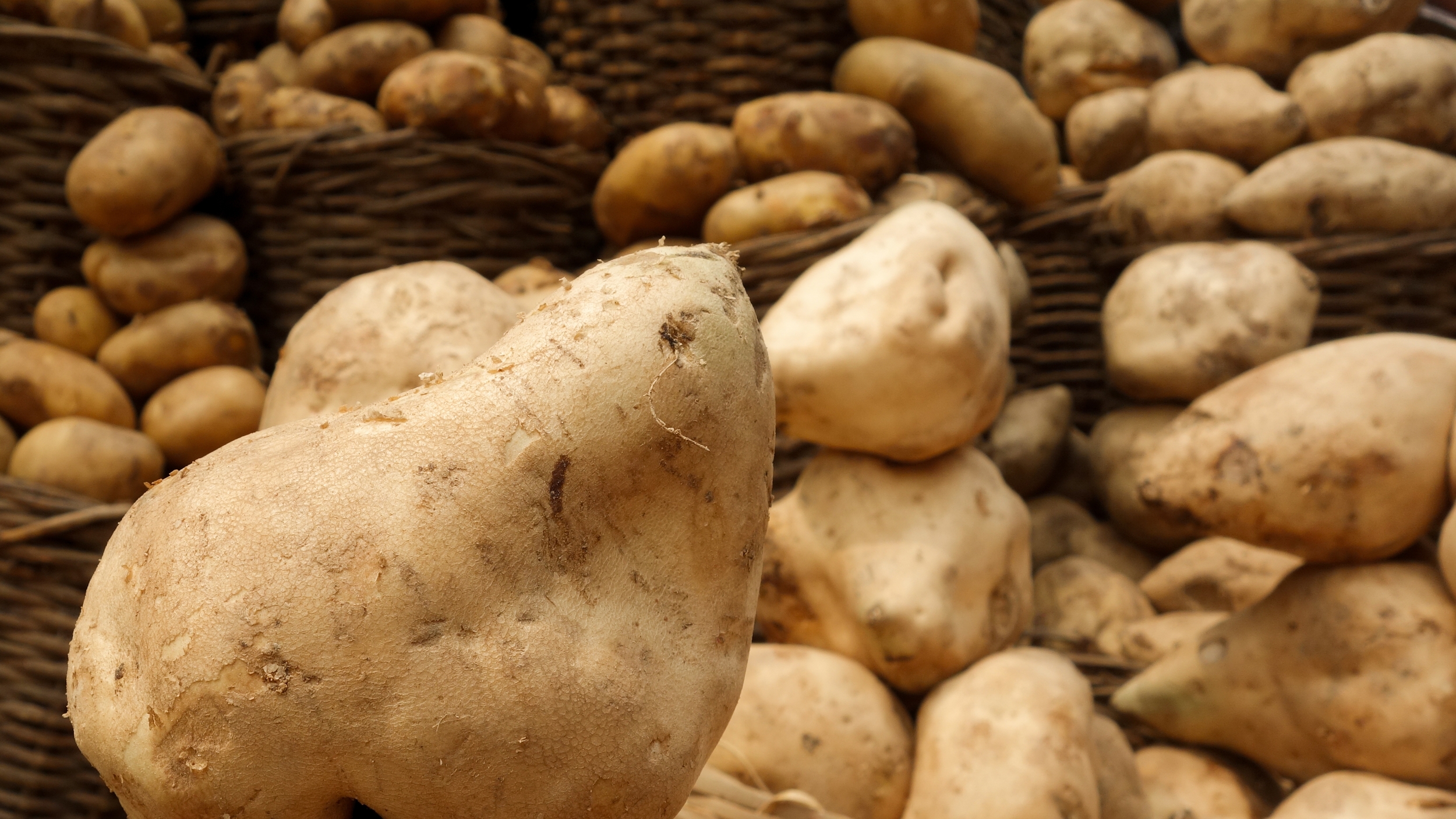 HAUSA SWEET POTATOES