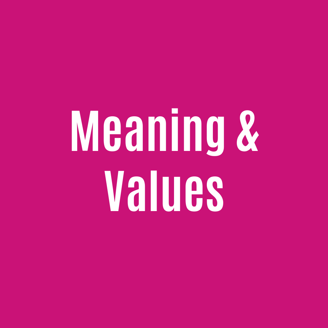 Meaning and Values.png