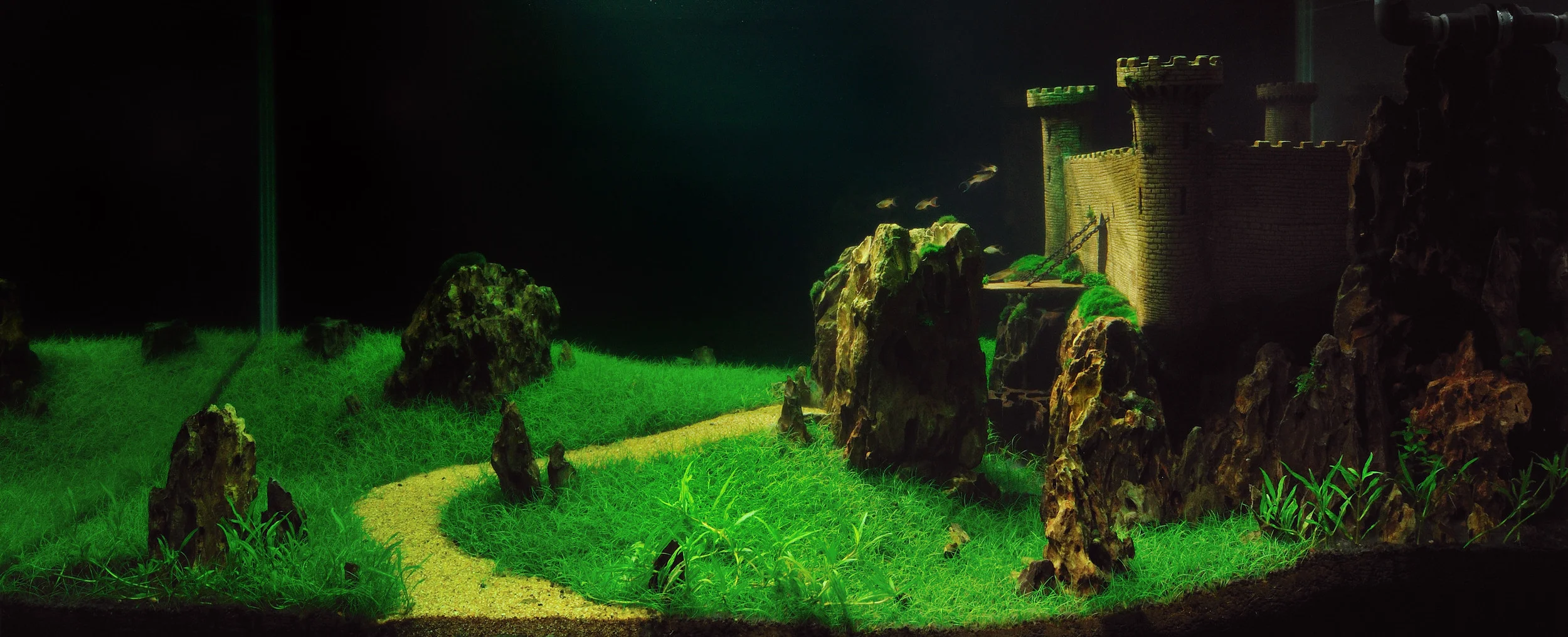 D3S_7261castle.jpg