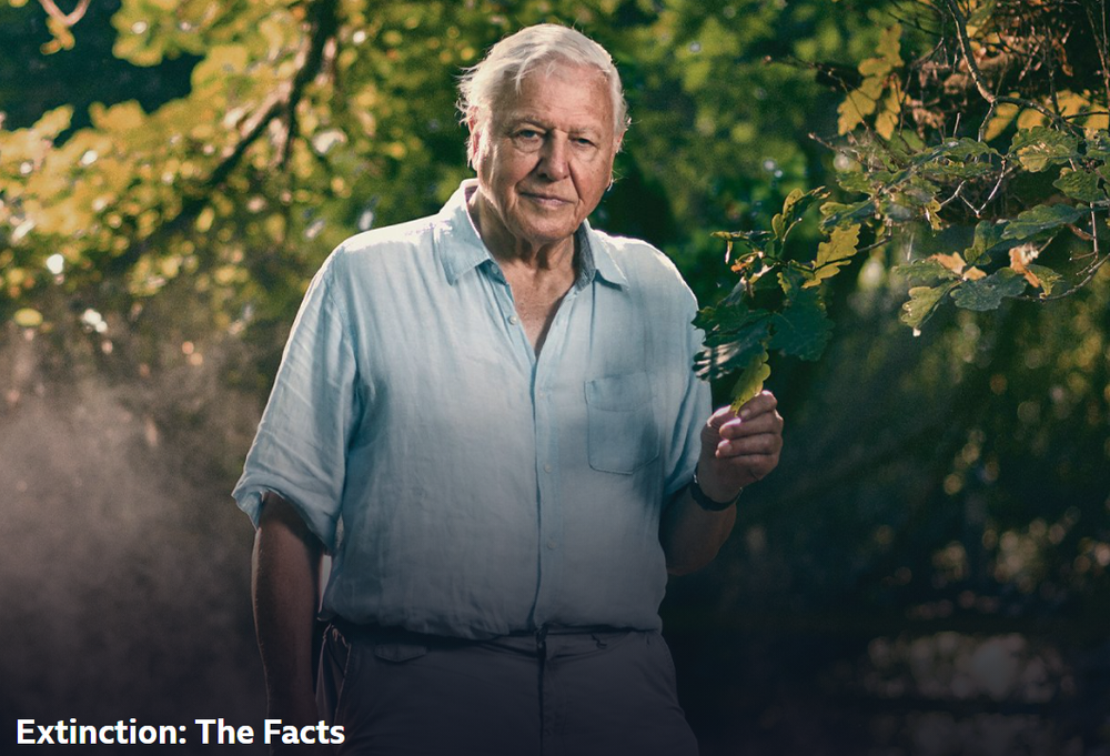 Green Christian St Albans - Extinction: The Facts — St Luke's Church