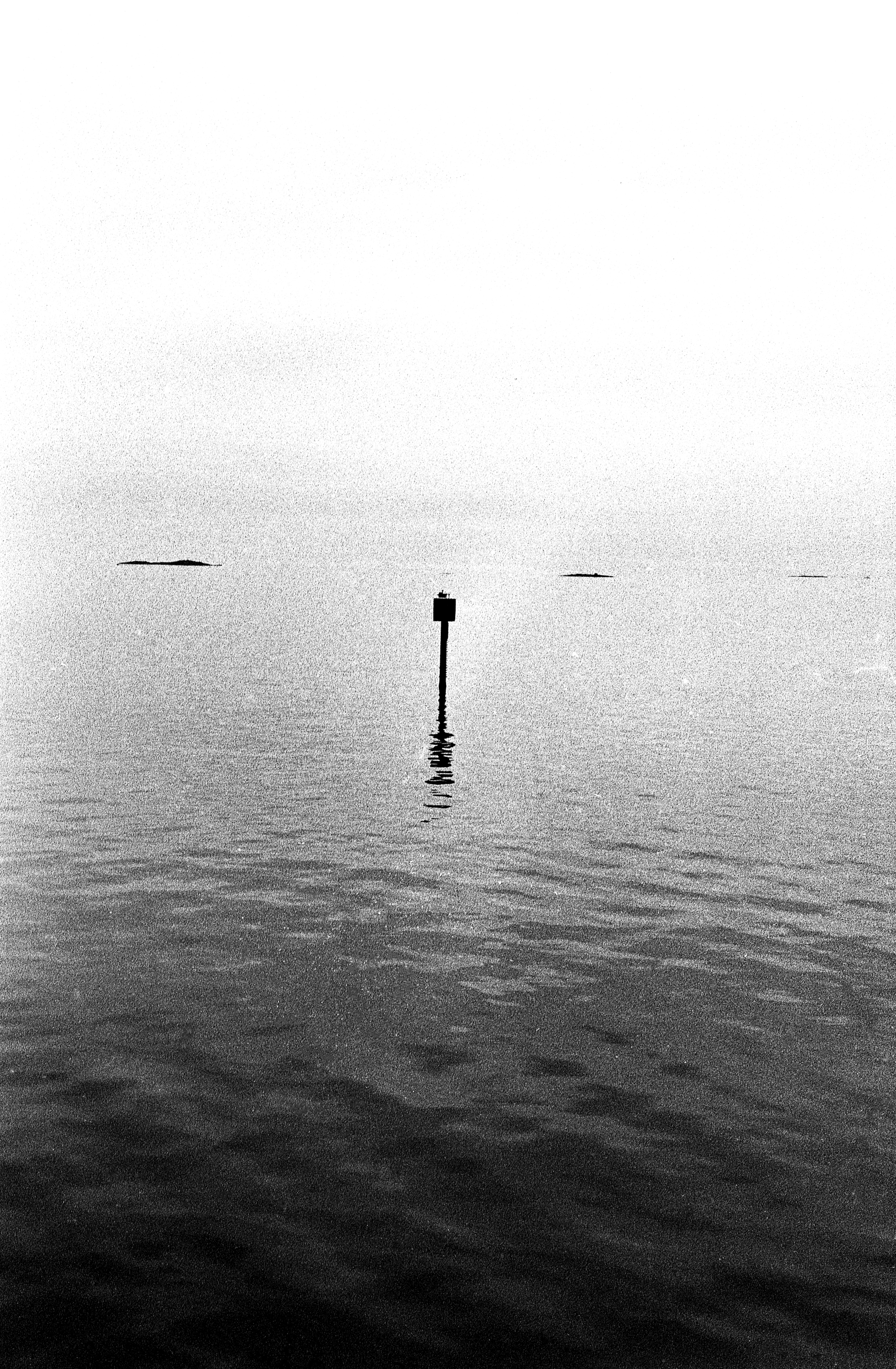 ig-1-2.jpg