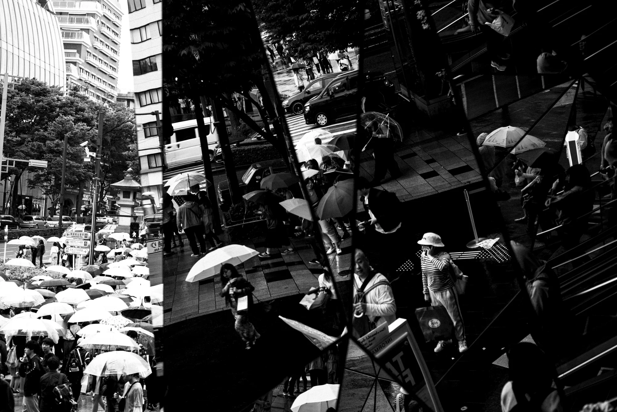 portfolio-1-7.jpg